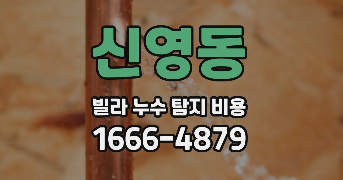 신영동 빌라 누수 탐지 비용
