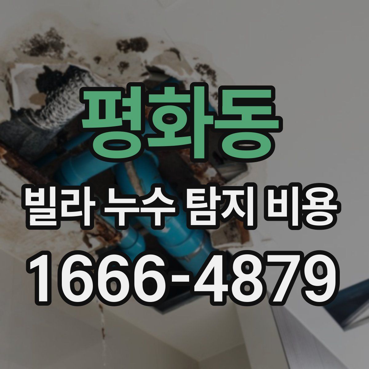 평화동 빌라 누수 탐지 비용