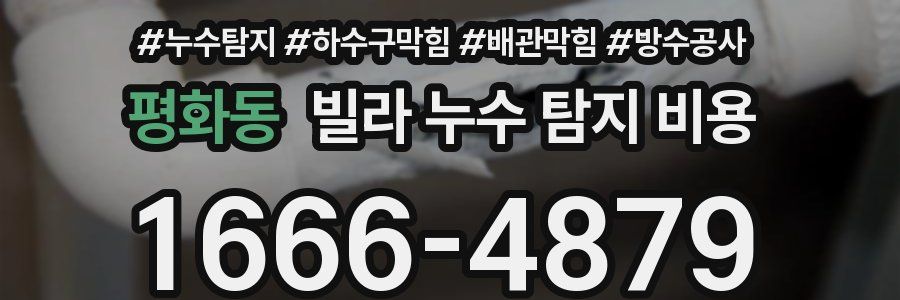 평화동 빌라 누수 탐지 비용