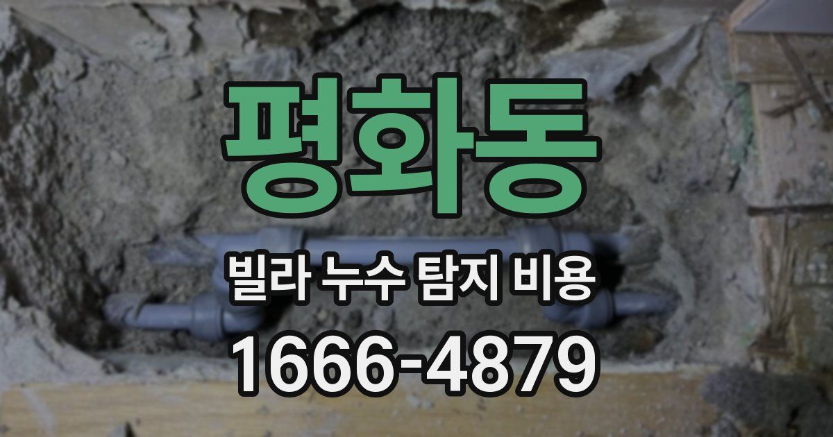 평화동 빌라 누수 탐지 비용