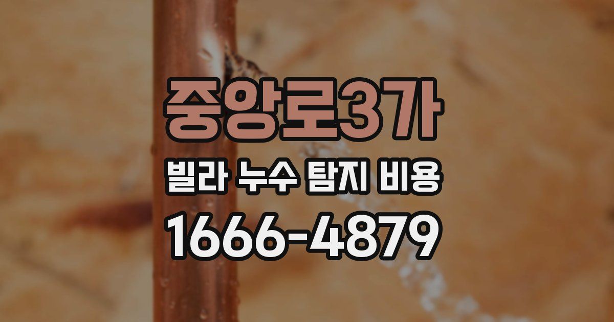 중앙로3가 빌라 누수 탐지 비용
