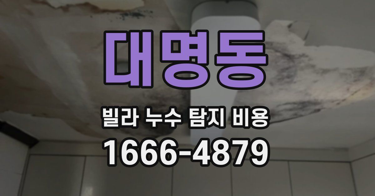 대명동 빌라 누수 탐지 비용