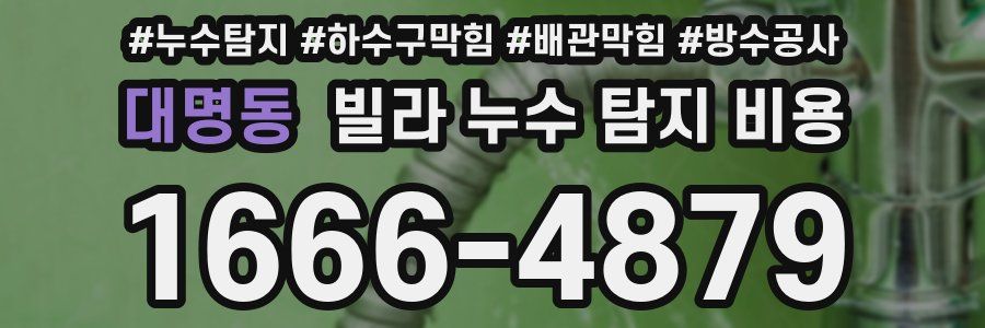 대명동 빌라 누수 탐지 비용