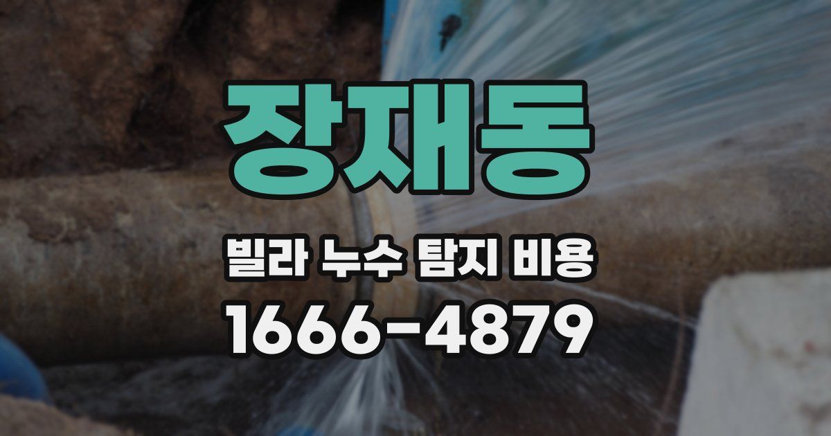 장재동 빌라 누수 탐지 비용