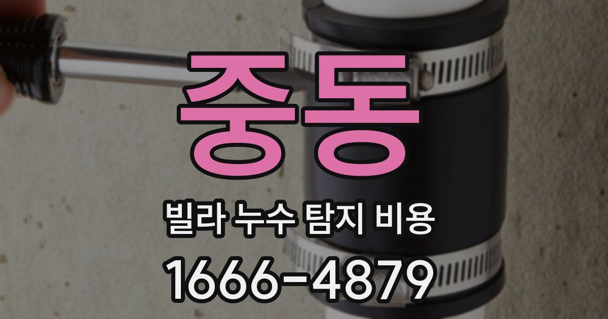 중동 빌라 누수 탐지 비용