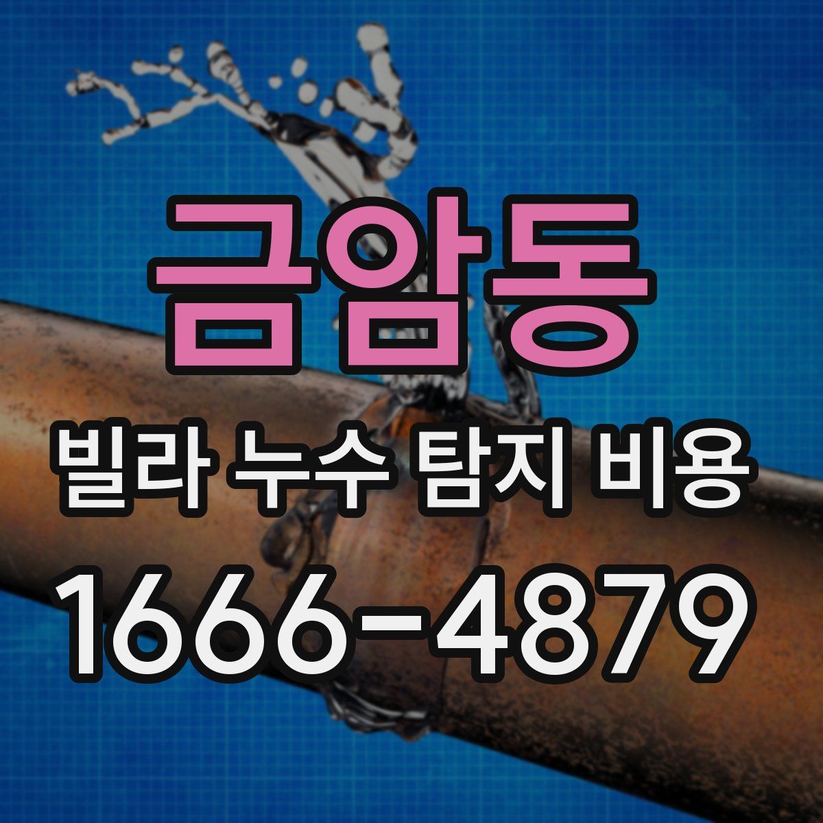 금암동 빌라 누수 탐지 비용