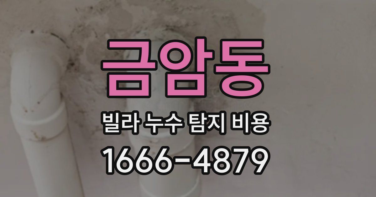 금암동 빌라 누수 탐지 비용