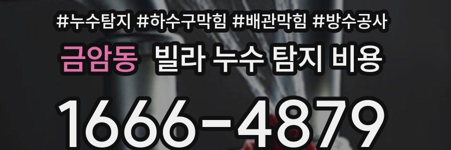 금암동 빌라 누수 탐지 비용