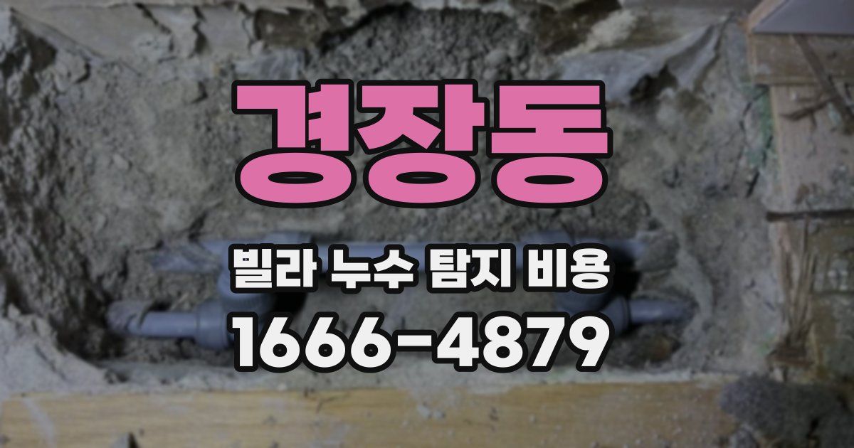 경장동 빌라 누수 탐지 비용