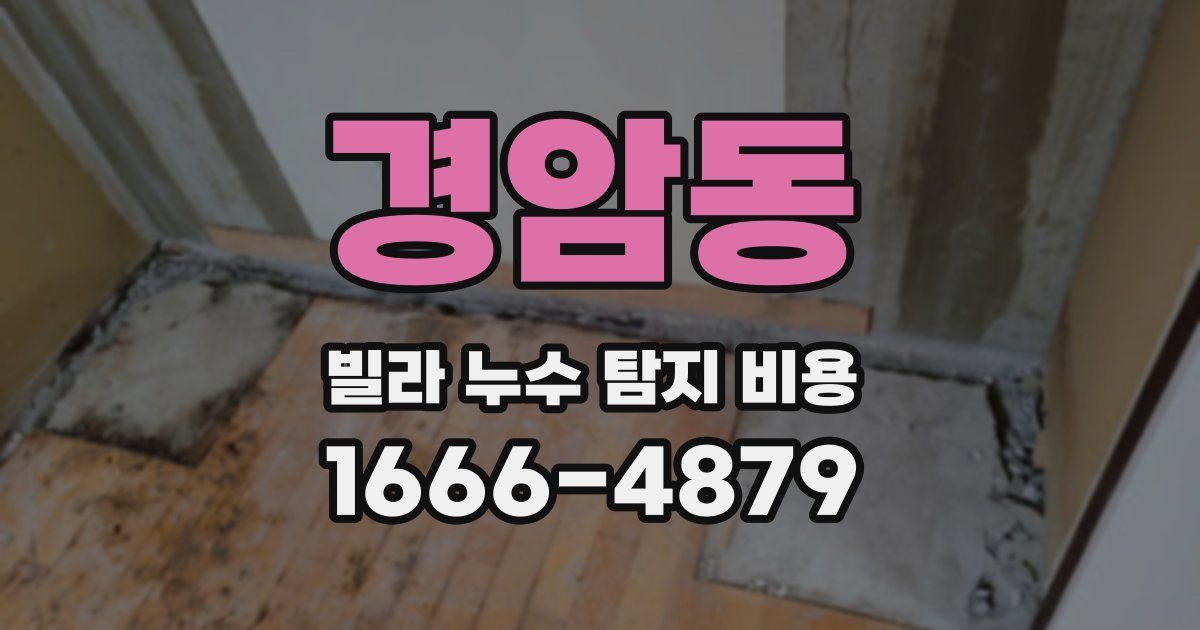 경암동 빌라 누수 탐지 비용