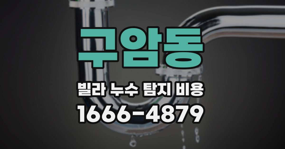 구암동 빌라 누수 탐지 비용