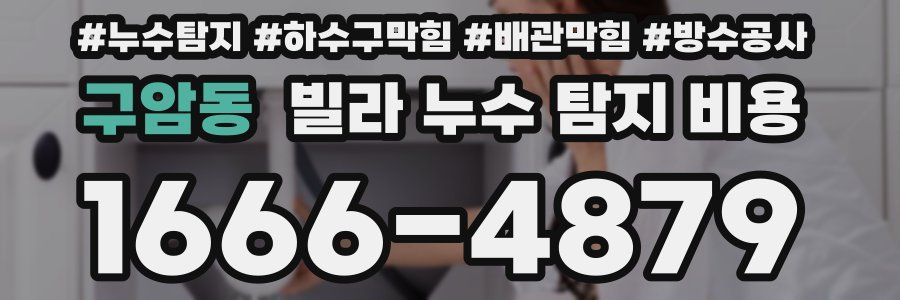 구암동 빌라 누수 탐지 비용