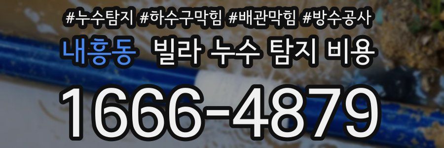 내흥동 빌라 누수 탐지 비용