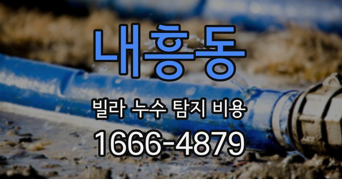 내흥동 빌라 누수 탐지 비용