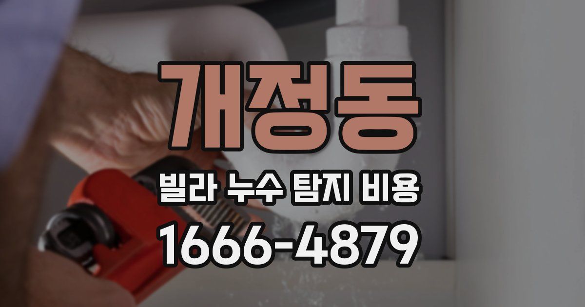 개정동 빌라 누수 탐지 비용