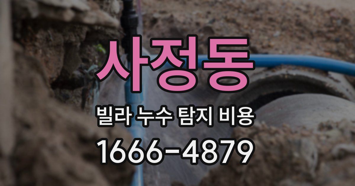 사정동 빌라 누수 탐지 비용