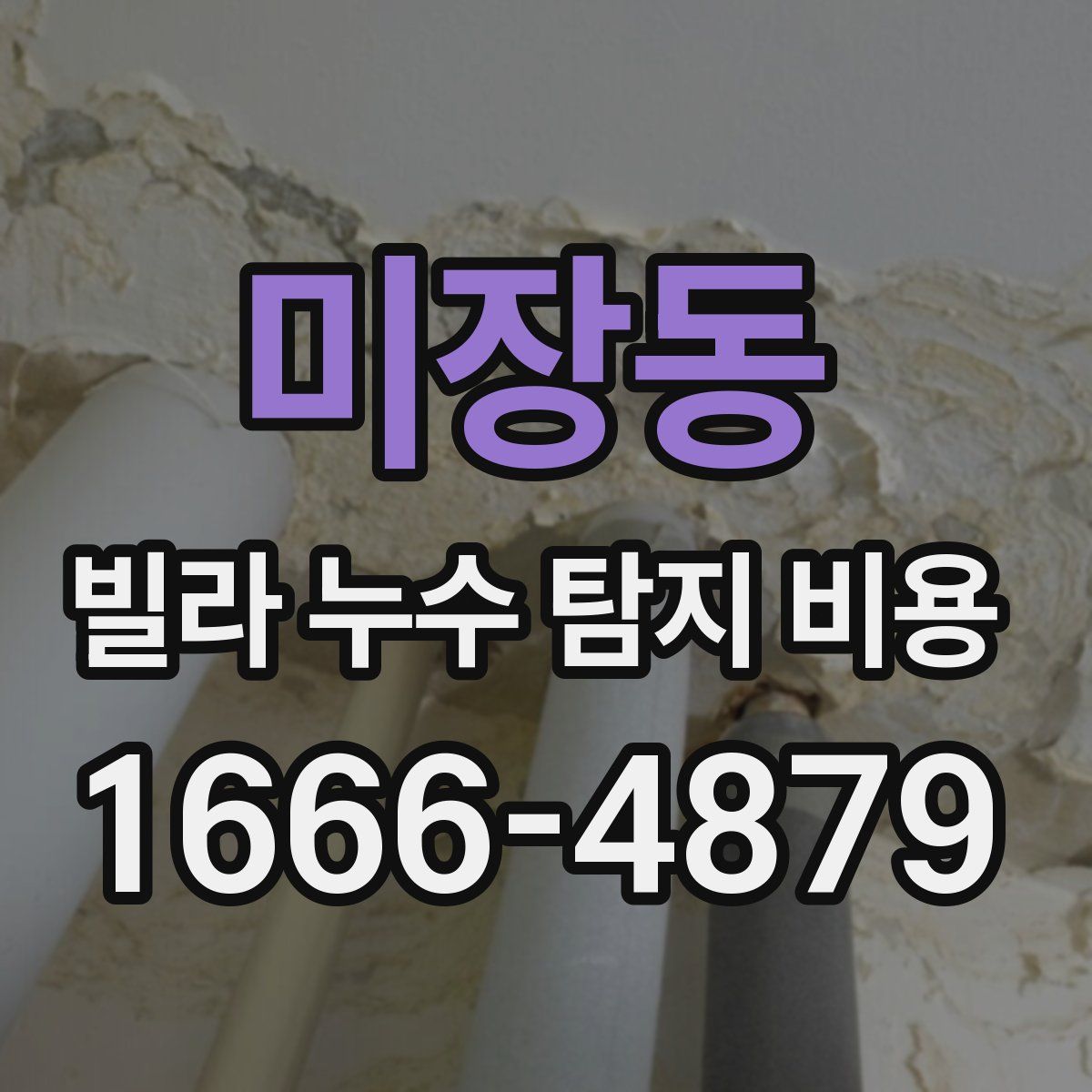 미장동 빌라 누수 탐지 비용