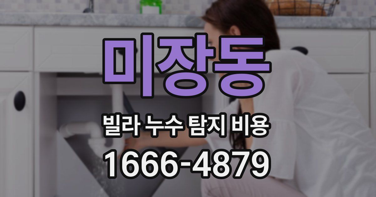 미장동 빌라 누수 탐지 비용