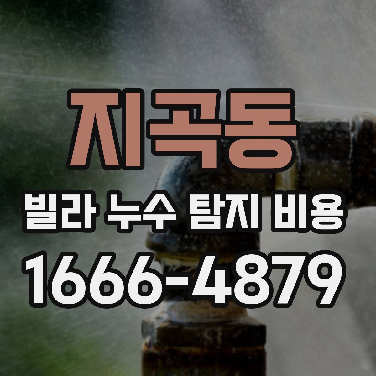 지곡동 빌라 누수 탐지 비용