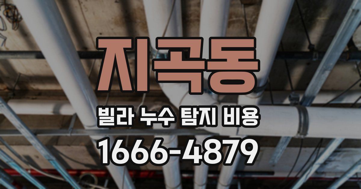 지곡동 빌라 누수 탐지 비용