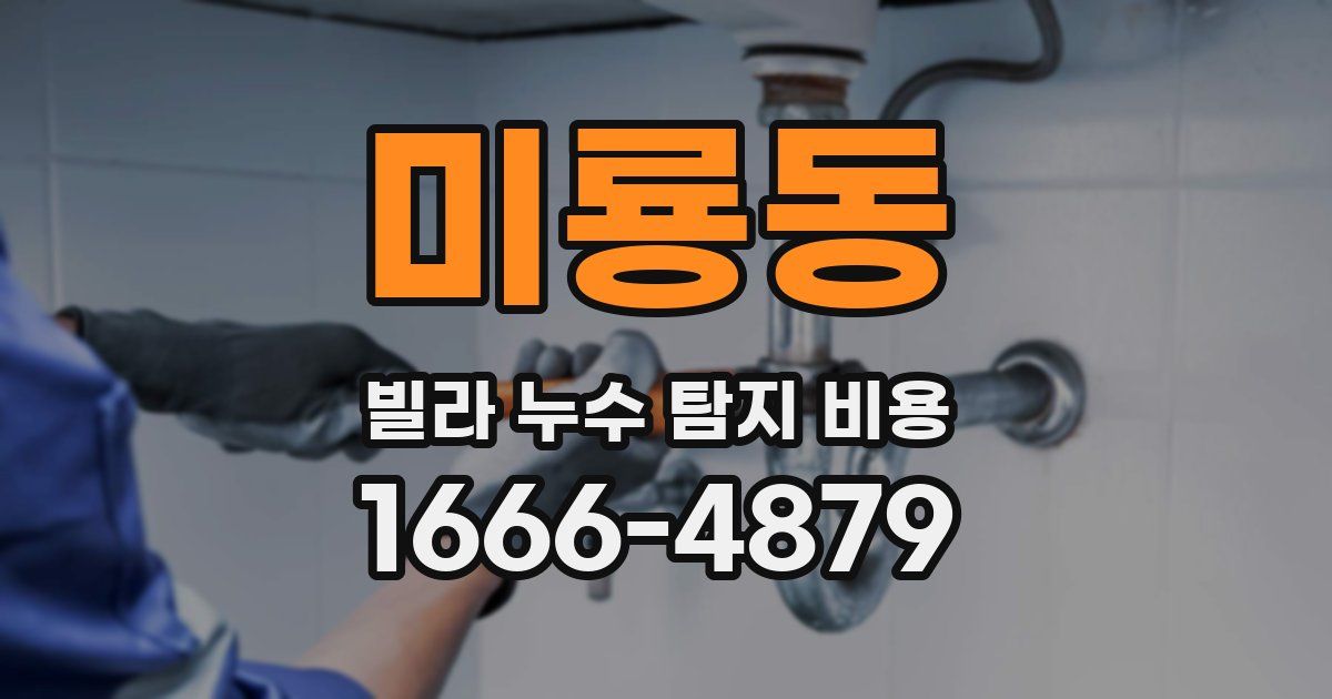미룡동 빌라 누수 탐지 비용