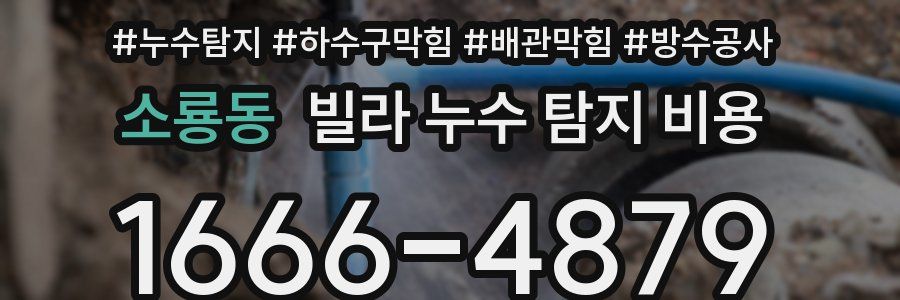 소룡동 빌라 누수 탐지 비용