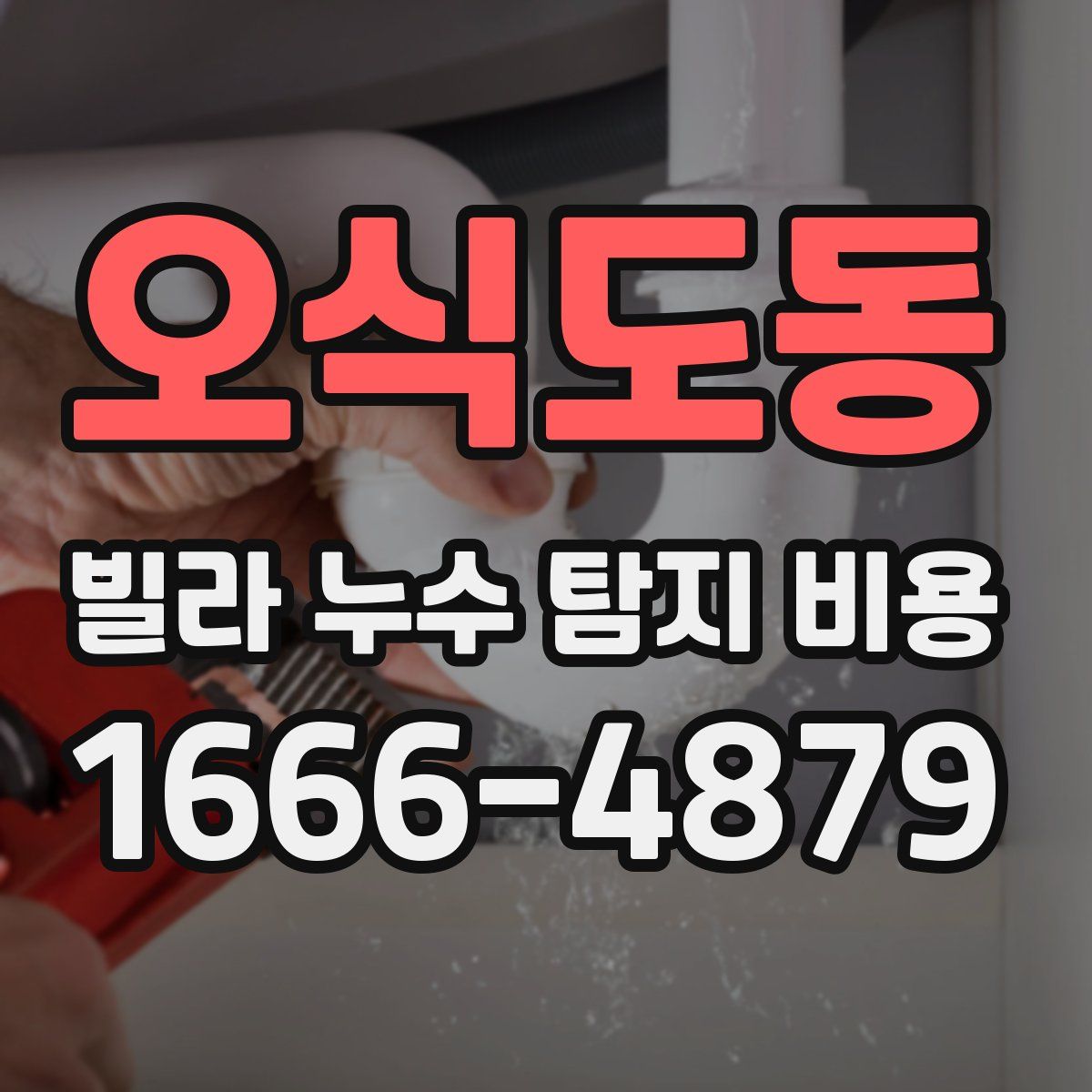 오식도동 빌라 누수 탐지 비용