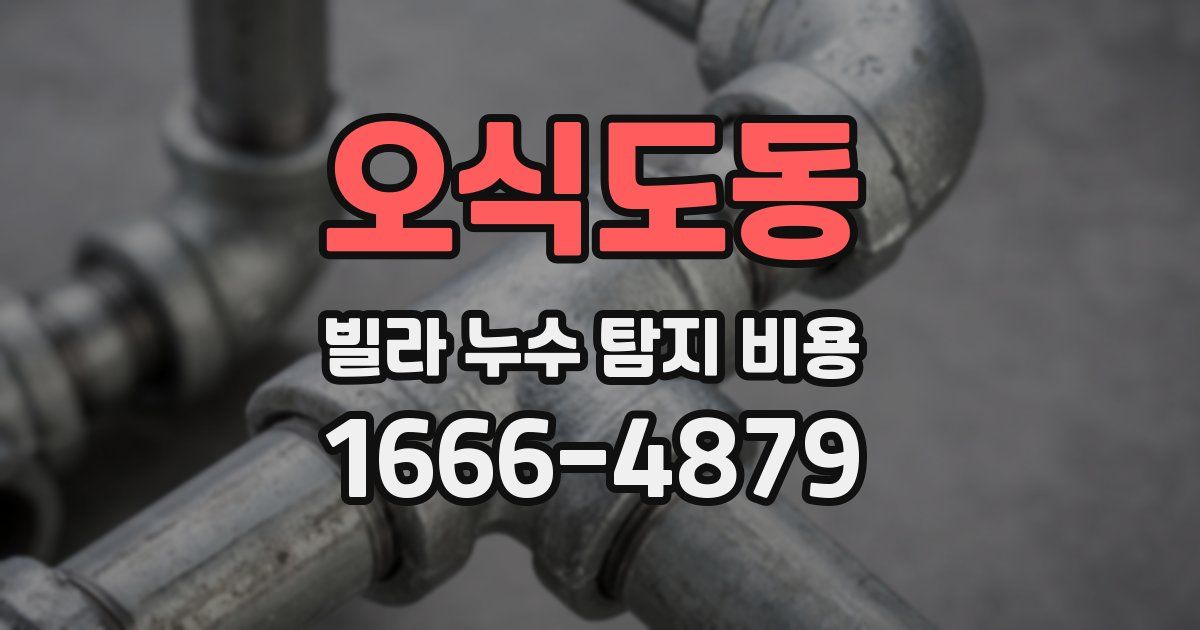 오식도동 빌라 누수 탐지 비용