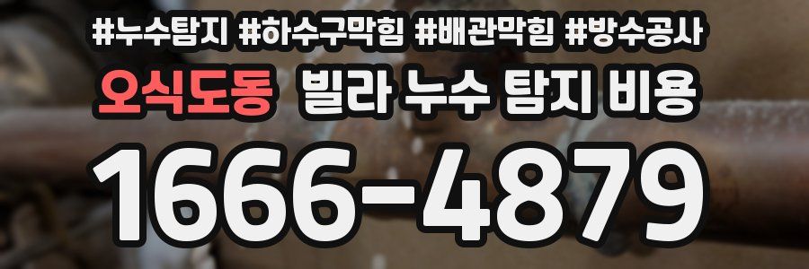 오식도동 빌라 누수 탐지 비용