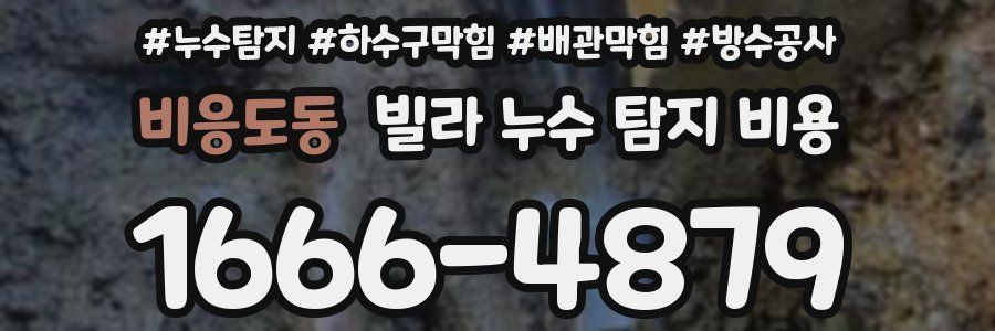 비응도동 빌라 누수 탐지 비용