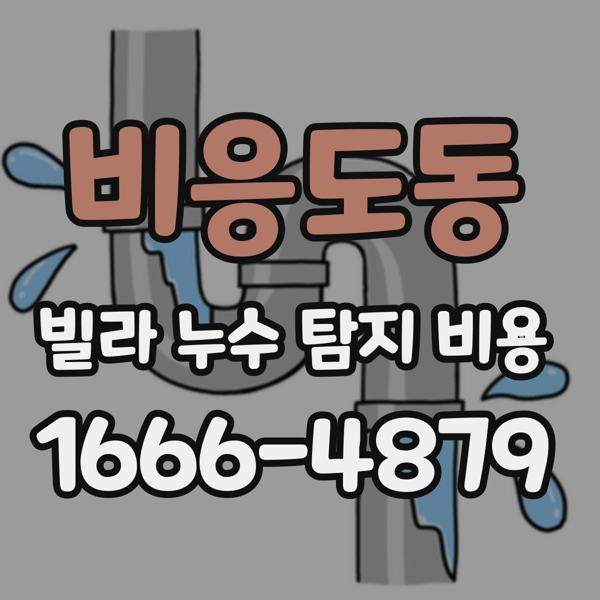 비응도동 빌라 누수 탐지 비용