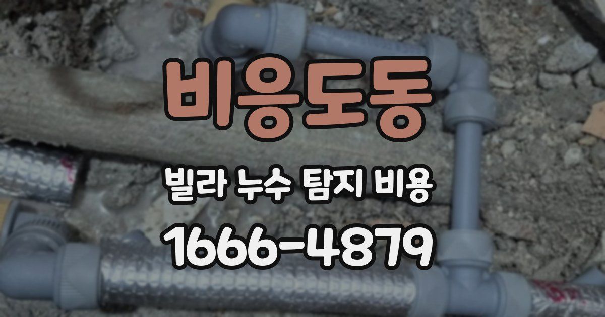 비응도동 빌라 누수 탐지 비용