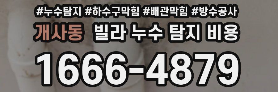 개사동 빌라 누수 탐지 비용