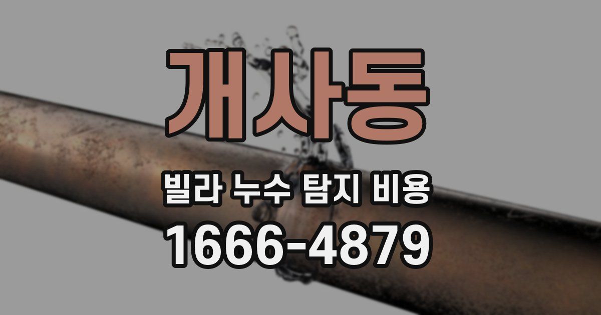 개사동 빌라 누수 탐지 비용