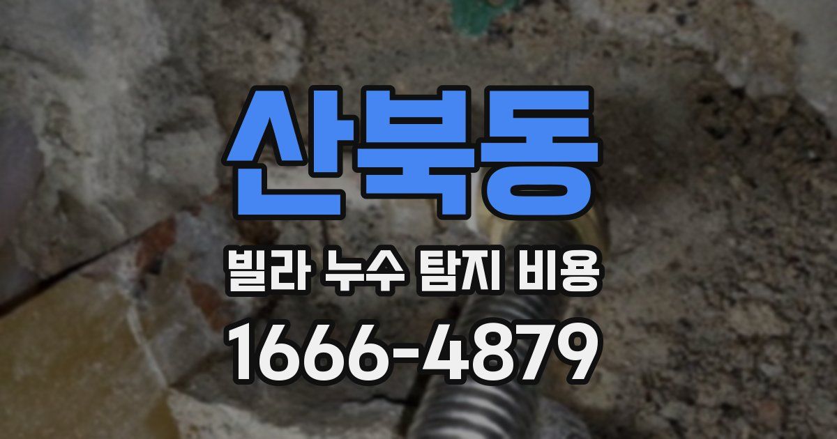 산북동 빌라 누수 탐지 비용