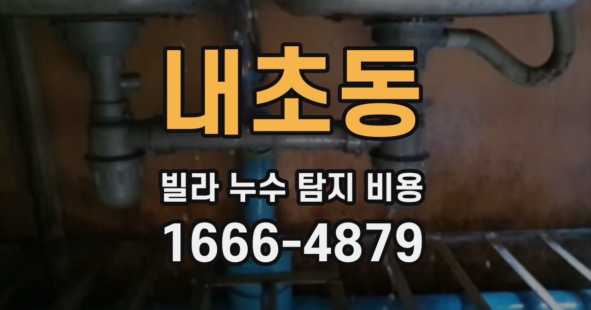 내초동 빌라 누수 탐지 비용