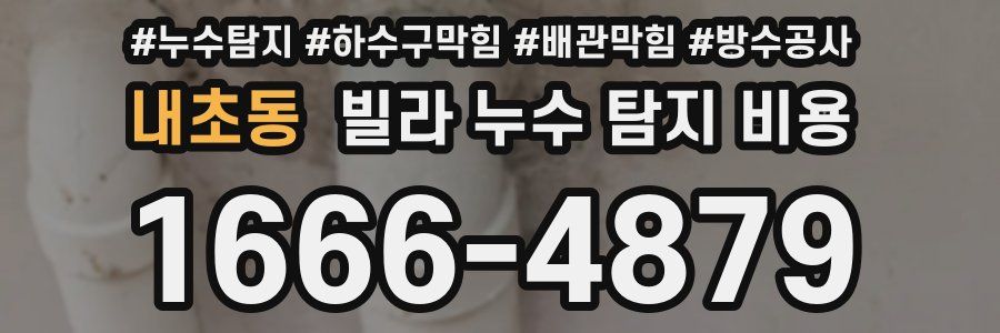 내초동 빌라 누수 탐지 비용