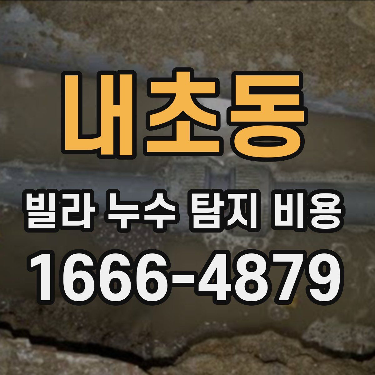 내초동 빌라 누수 탐지 비용