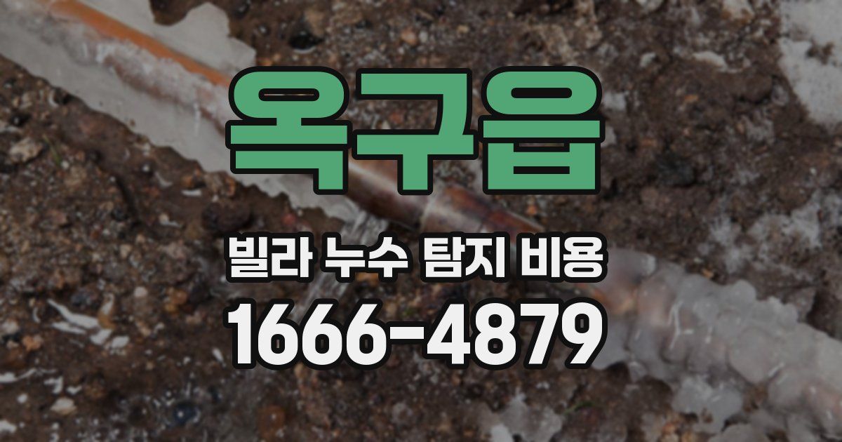 옥구읍 빌라 누수 탐지 비용
