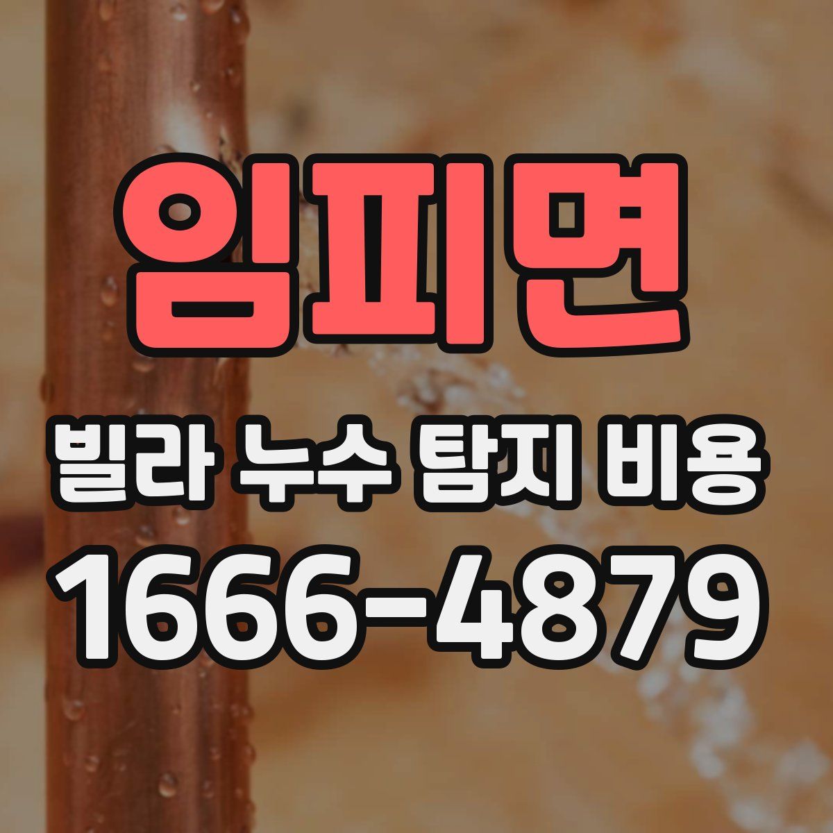 임피면 빌라 누수 탐지 비용