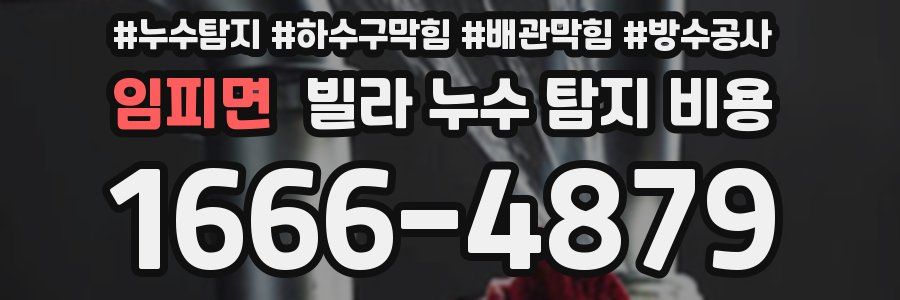 임피면 빌라 누수 탐지 비용