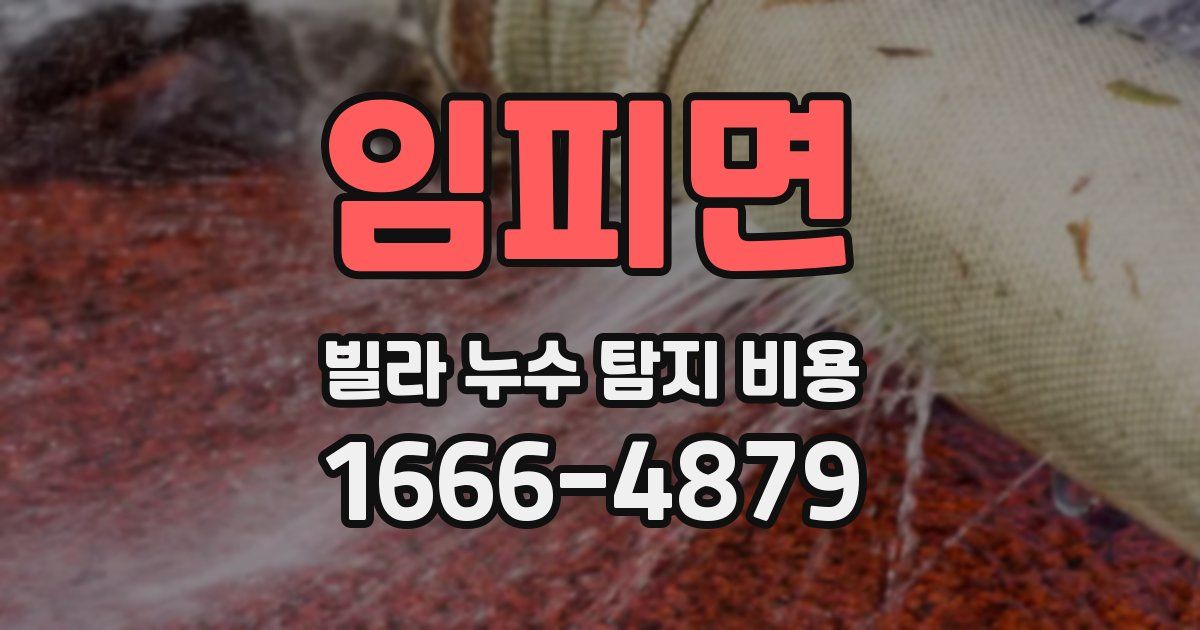 임피면 빌라 누수 탐지 비용
