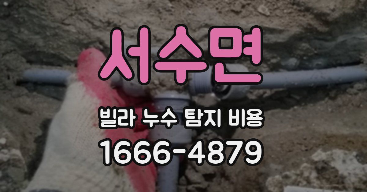 서수면 빌라 누수 탐지 비용