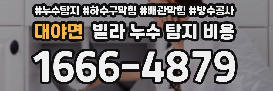 대야면 빌라 누수 탐지 비용