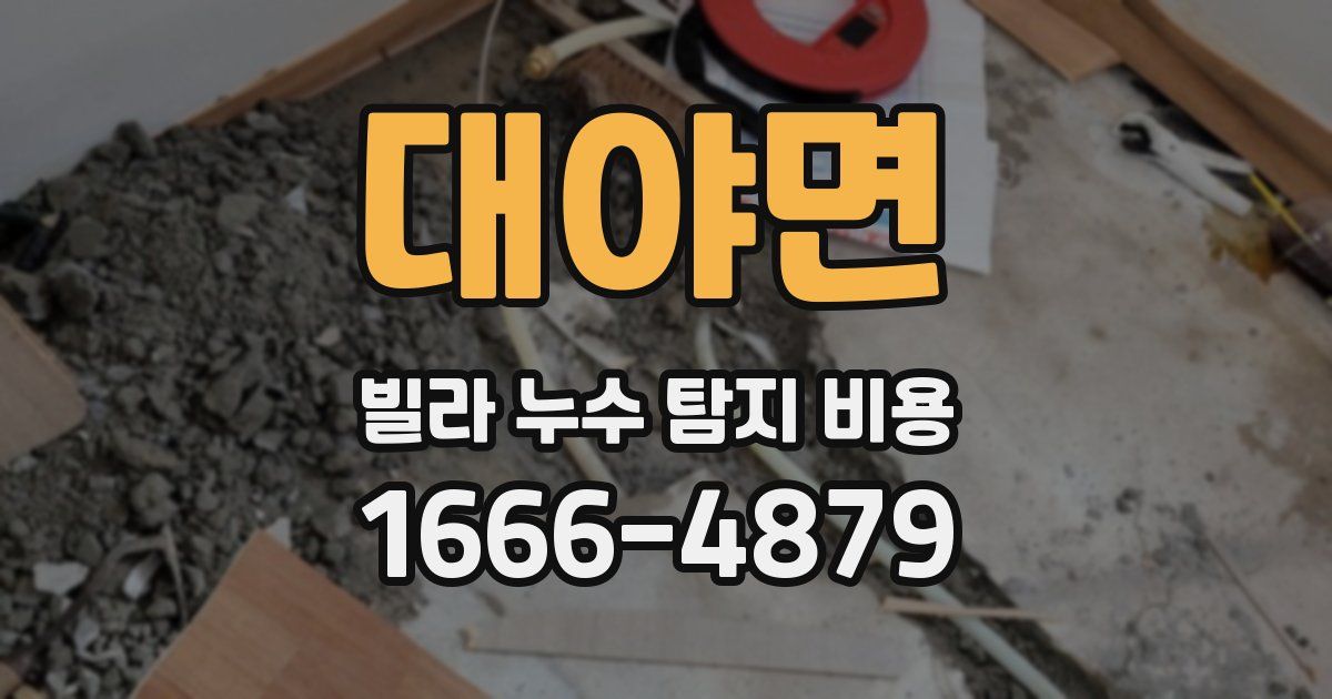 대야면 빌라 누수 탐지 비용