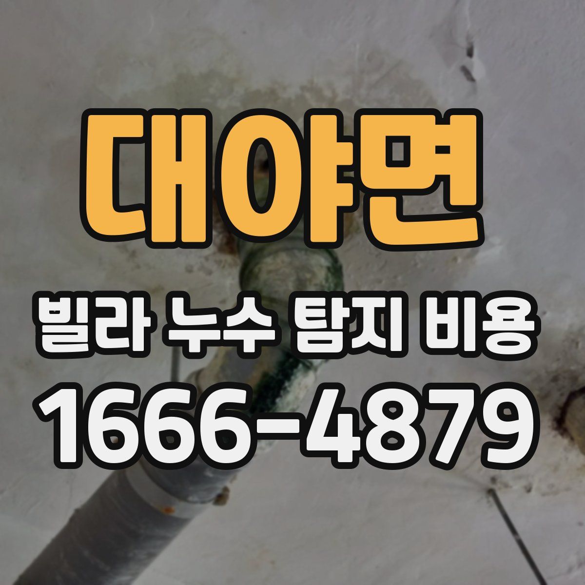 대야면 빌라 누수 탐지 비용