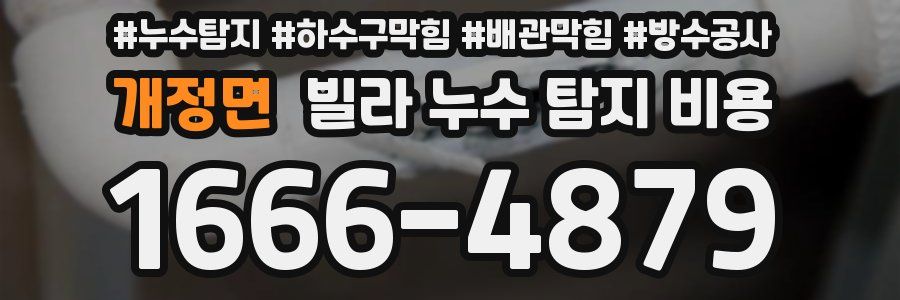 개정면 빌라 누수 탐지 비용