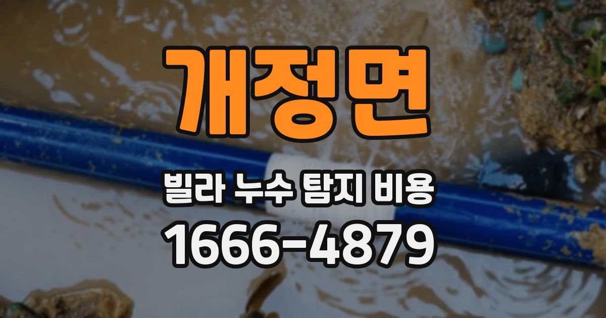 개정면 빌라 누수 탐지 비용