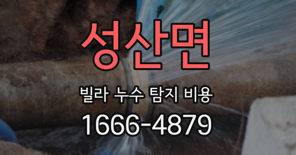 성산면 빌라 누수 탐지 비용