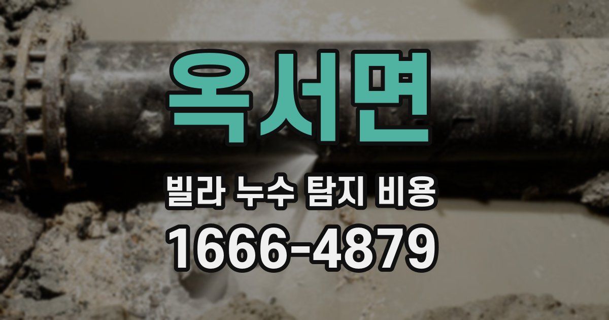 옥서면 빌라 누수 탐지 비용